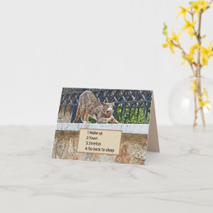 KATZSTRETCHERROUTINE UND RÄHREND/MORGEN KARTE