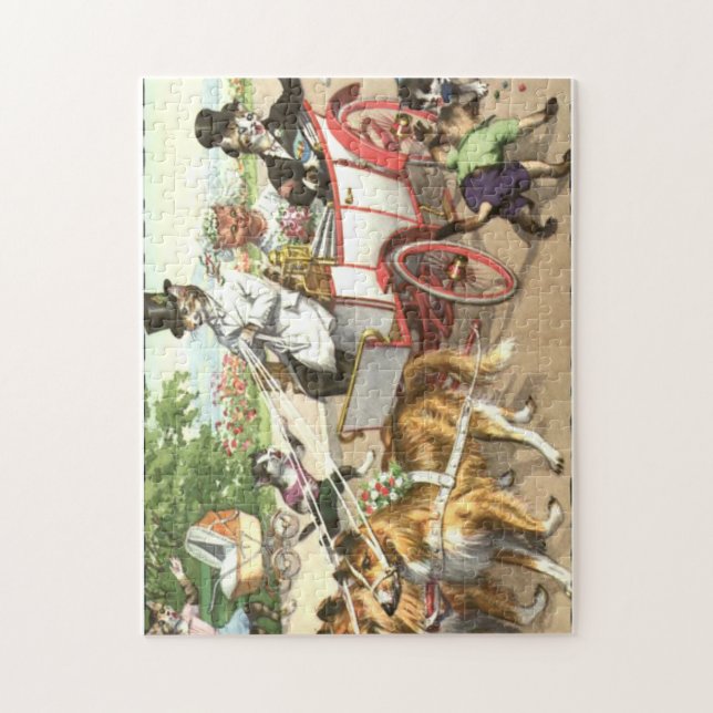 KATZWÄSCHE (Vertikal)