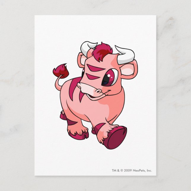 Kau Pink Postkarte (Vorderseite)