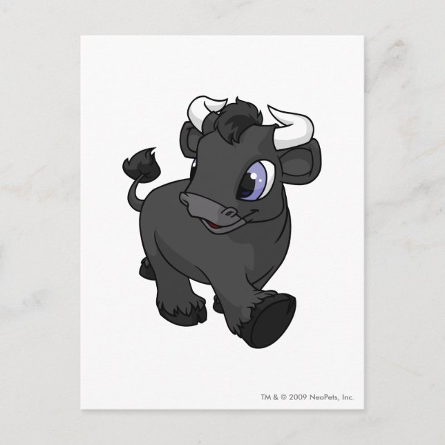 Kau Shadow Postkarte (Vorderseite)