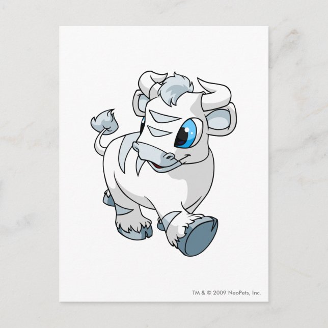 Kau White Postkarte (Vorderseite)