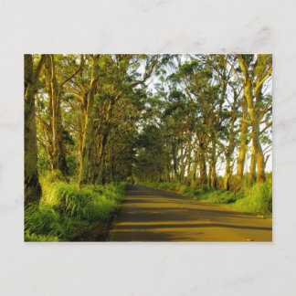 Kauai - Die Straße nach Poipu Postkarte
