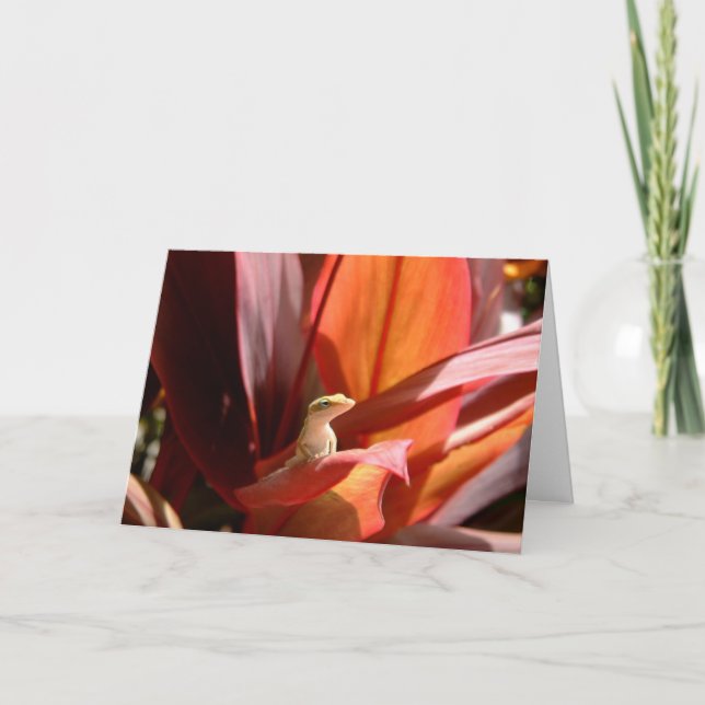 Kauai-Eidechse Karte (Vorderseite)