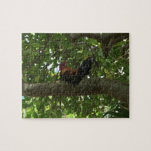 Kauai-Hahn, der im Baum - Hawaii sitzt (Horizontal)