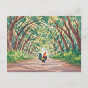Kauai  Hahn geht auf einen Tunnel aus Bäumen zu Postkarte