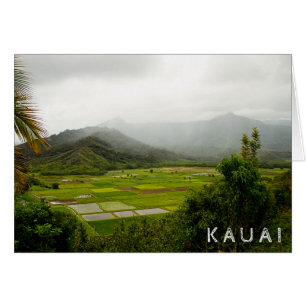 Kauai, Hawaï ・ Champs verdoyants ・ Paysage