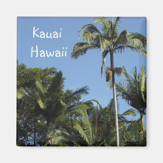 Kauai Hawaii Magnet (Vorne)