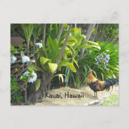 Kauai, Hawaii Postkarte