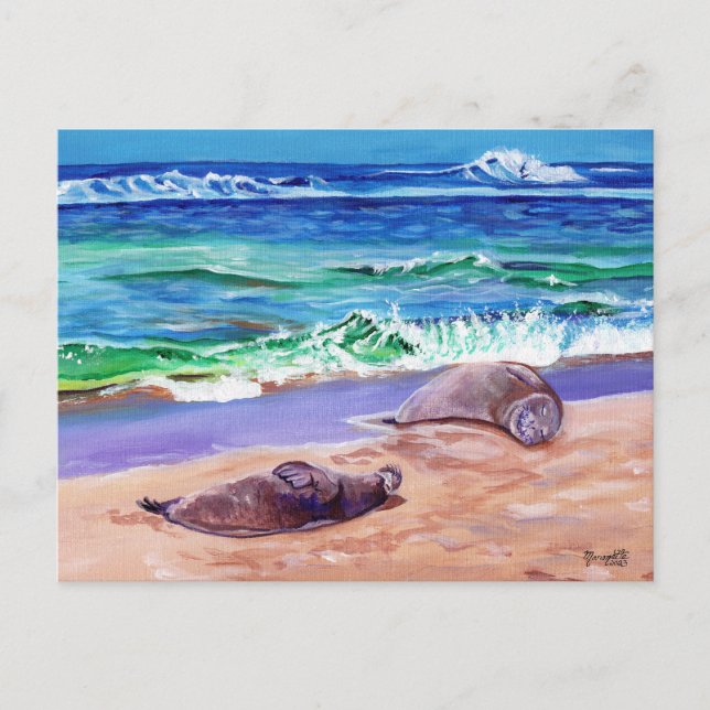 Kauai Hawaiian Monk Siegel auf der Poipu Beach Pos Postkarte (Vorderseite)