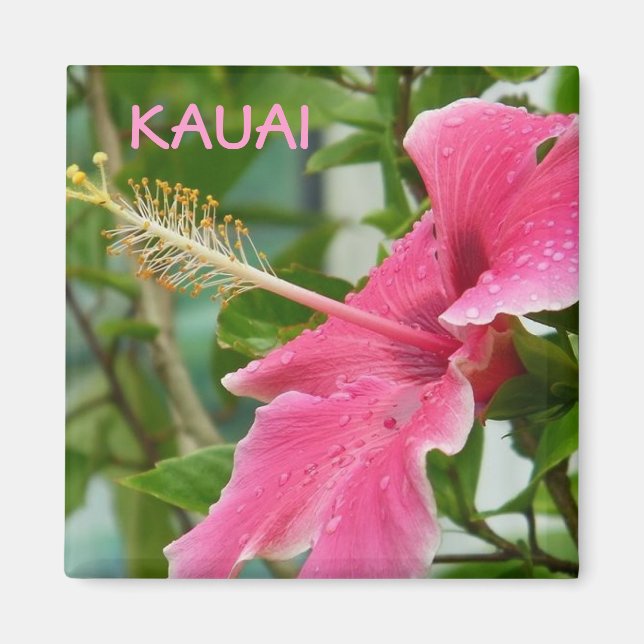 Kauai Hawaiian Tropical Blume Hibiskus Magnet (Vorne)