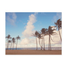 Kauai Island Palm Trees Postcard