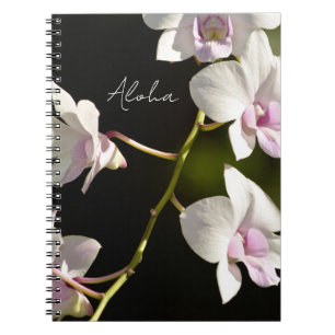 Kauai-Orchideenblüten (von mir fotografiert) Notizblock