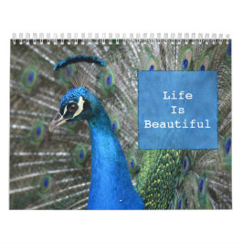 Kauai Peacock Feathers Kalender