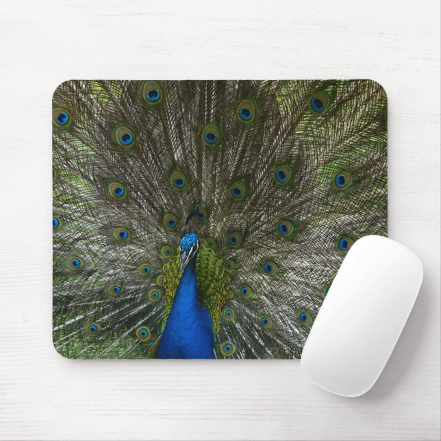 Kauai Peacock Mousepad (Mit Mouse)