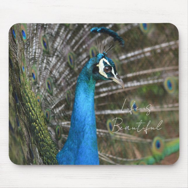 Kauai Peacock  Mousepad (Vorne)