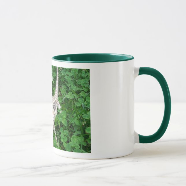 Kauen von Beardie Tasse (Rechts)