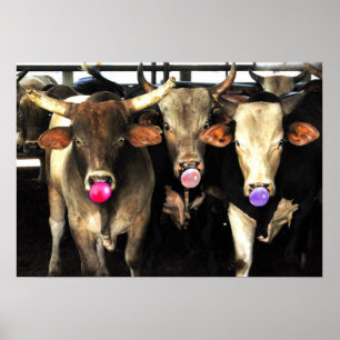 Kaugummi-durchbrennenrodeo Stier schüchtert Poster