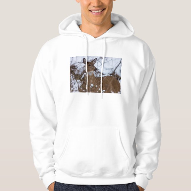 kaulig hoodie (Vorderseite)