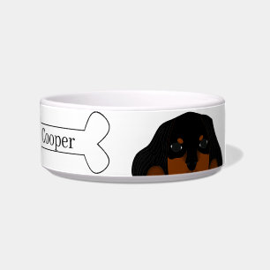 Kavalier König Charles Spaniel Hund Napf
