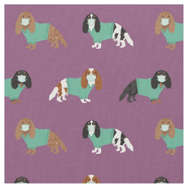 Kavalier König Charles Spaniel in den Skrupeln Stoff (Nahaufnahme)