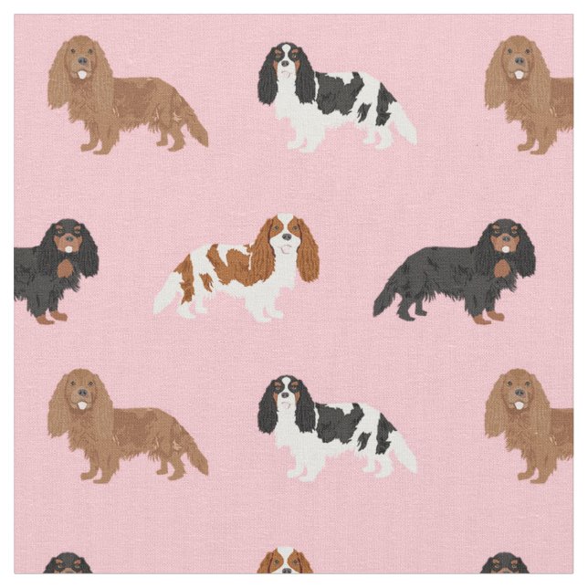 Kavalier König Charles Spaniel rosa Stoff (Nahaufnahme)