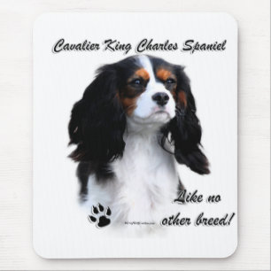 Kavalier wie keine andere Rasse Mousepad