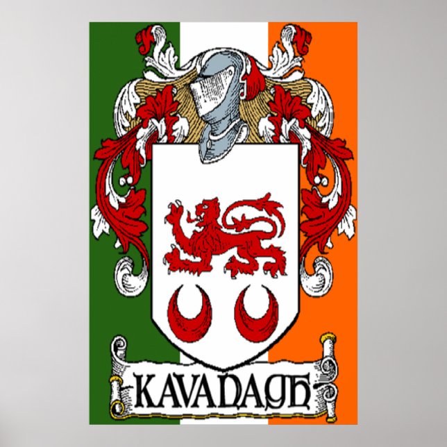 Kavanagh Coat of Arms Irish Flag Print Poster (Vorne)