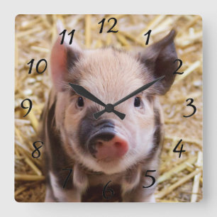 Kawaii cute adorable farm baby piglet pig animal quadratische wanduhr