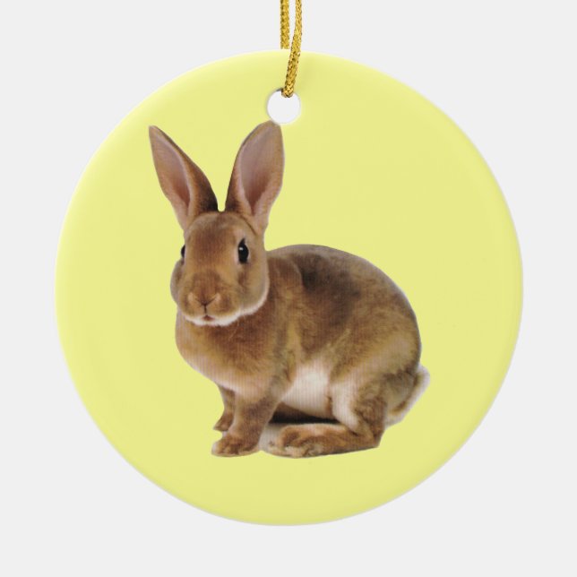 Kawaii Niedlich Bunny Rabbit Keramikornament (Vorne)