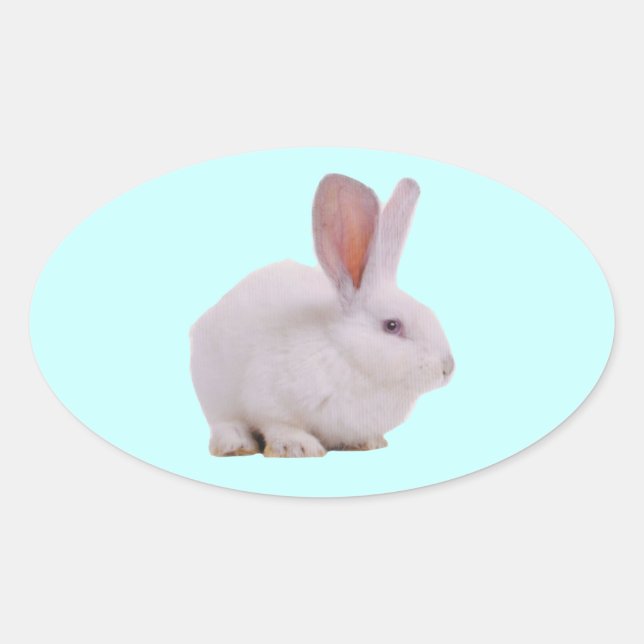 Kawaii Niedlich Bunny Rabbit Ovaler Aufkleber (Vorderseite)