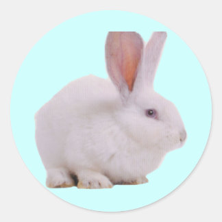 Kawaii Niedlich Bunny Runder Aufkleber