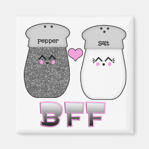 Kawaii Salz und Pfeffer BFF Magnet