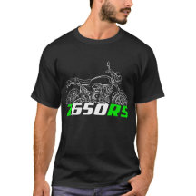 Kawasaki Z650RS 2022-2025