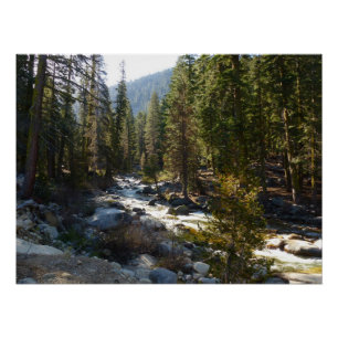 Kaweah Fluss im Sequoia National Park Poster