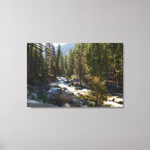 Kaweah River im Sequoia National Park Leinwanddruck