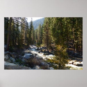 Kaweah River im Sequoia National Park Poster
