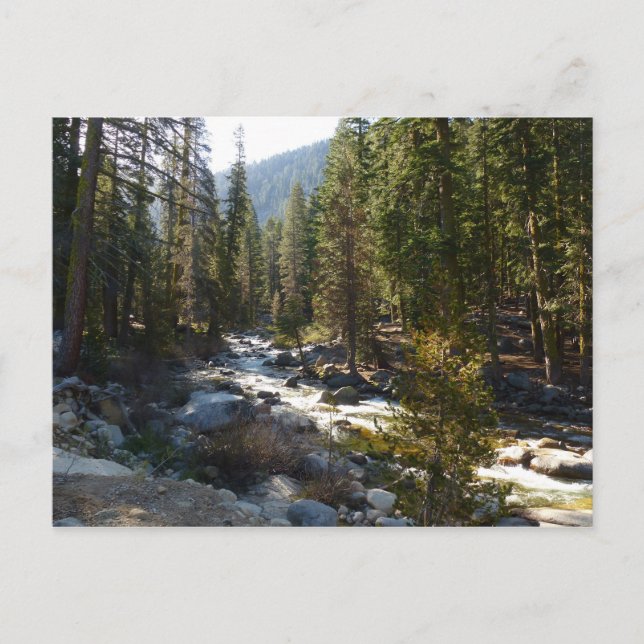 Kaweah River im Sequoia-Nationalpark Postkarte (Vorderseite)