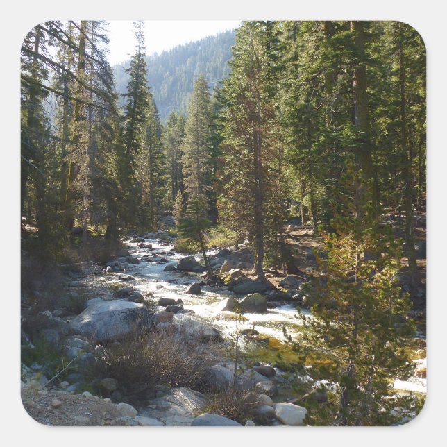 Kaweah River im Sequoia-Nationalpark Quadratischer Aufkleber (Vorderseite)