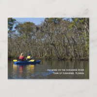 Kayaking the Suwannee River Postcard