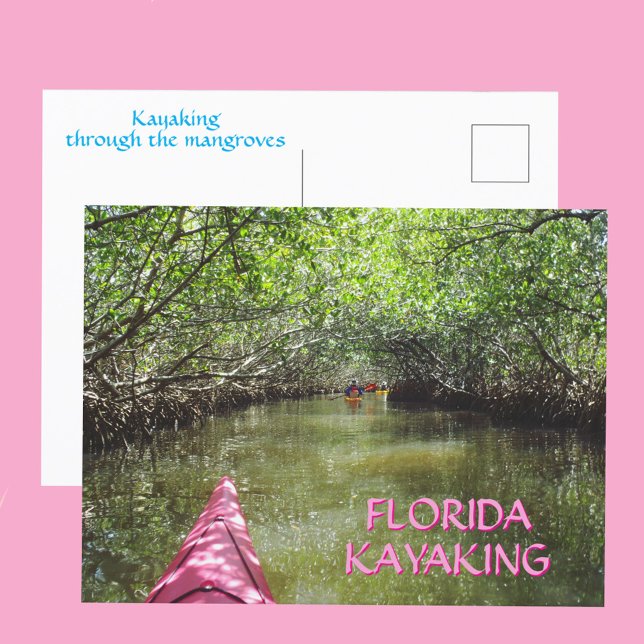 Kayaking Through the Mangroves Florida Adventure Postkarte (Von Creator hochgeladen)