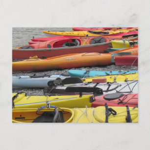 Kayaks in Alaska Postkarte