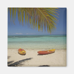 Kayaks on the beach, Plantation Island Resort Magnet