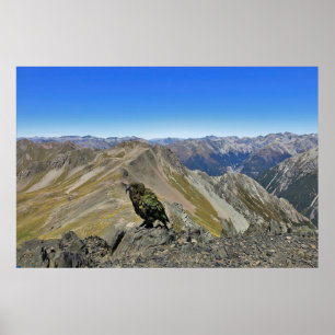 Kea in Arthurs Pass Poster