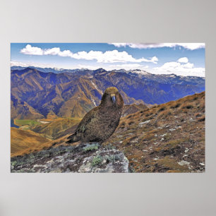 Kea Kountry Poster