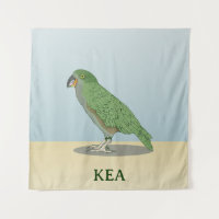 Kea New Zealand Bird