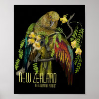 Kea New Zealand Mountain Parrot