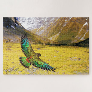 Kea Parrot in Neuseeland
