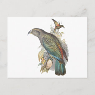 Kea Postkarte
