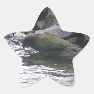 Kea Stern-Aufkleber