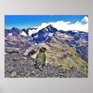 Kea und Mt. Rolleston Poster